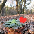 Be9a7550 a784 481c b925 1fed6c103d10