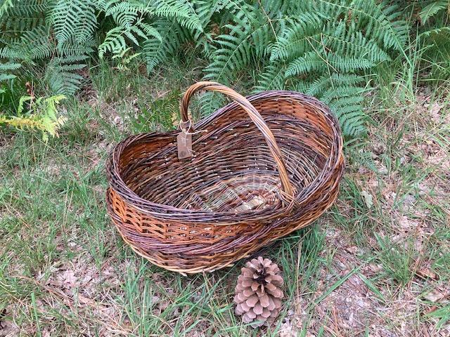 Panier à pommes de pin